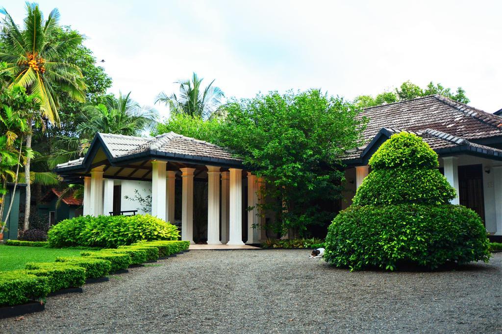 Camellia Dwelling Bed & Breakfast Hikkaduwa Bagian luar foto