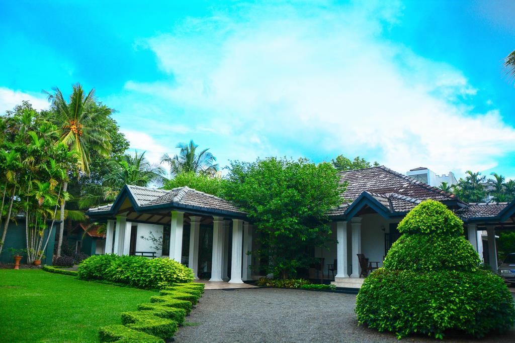 Camellia Dwelling Bed & Breakfast Hikkaduwa Bagian luar foto