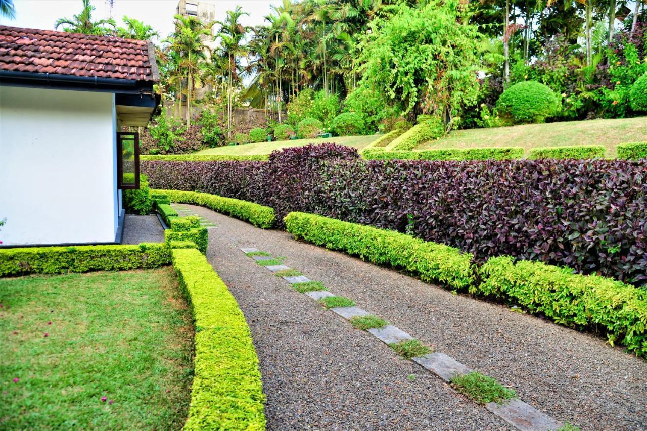 Camellia Dwelling Bed & Breakfast Hikkaduwa Bagian luar foto