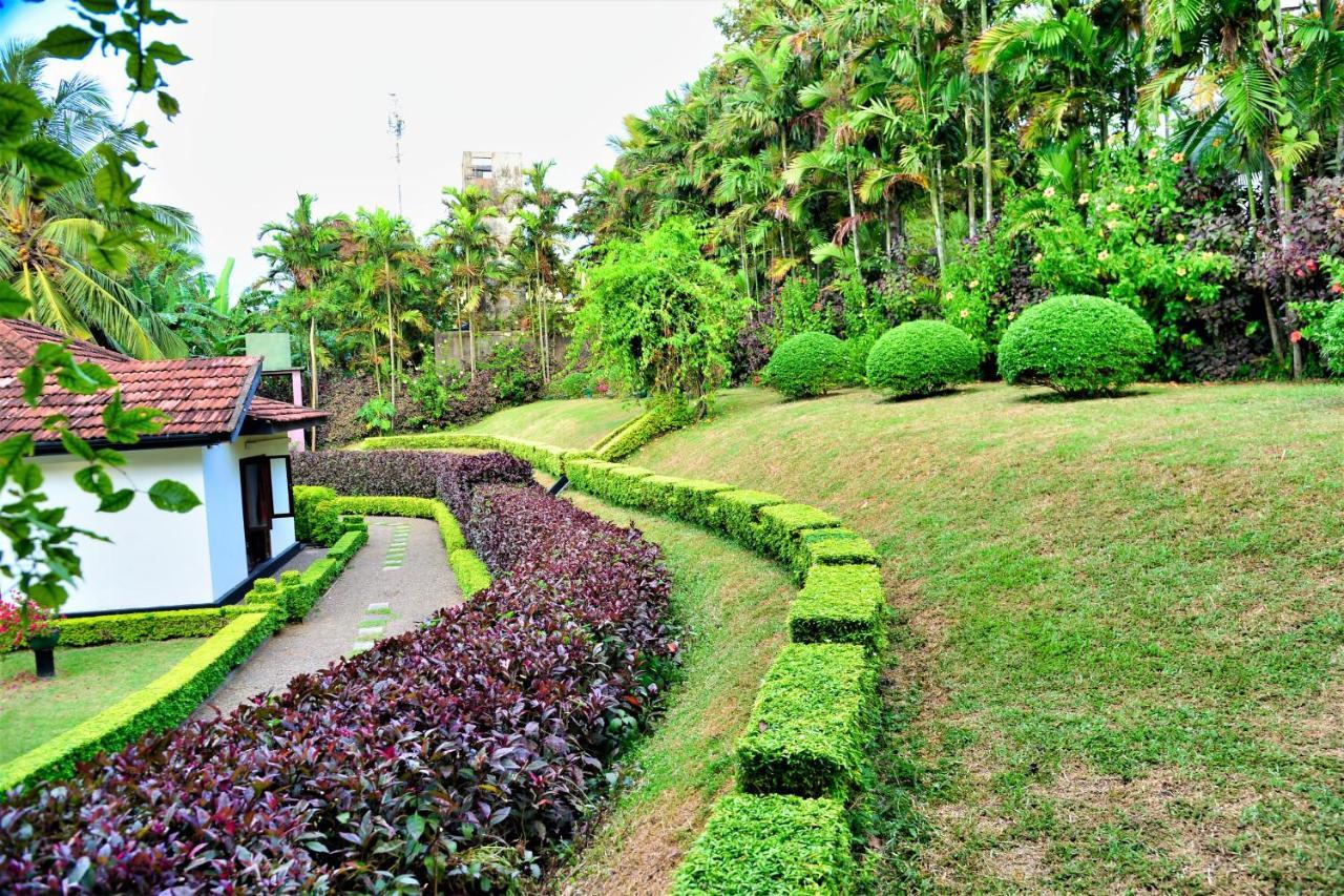 Camellia Dwelling Bed & Breakfast Hikkaduwa Bagian luar foto